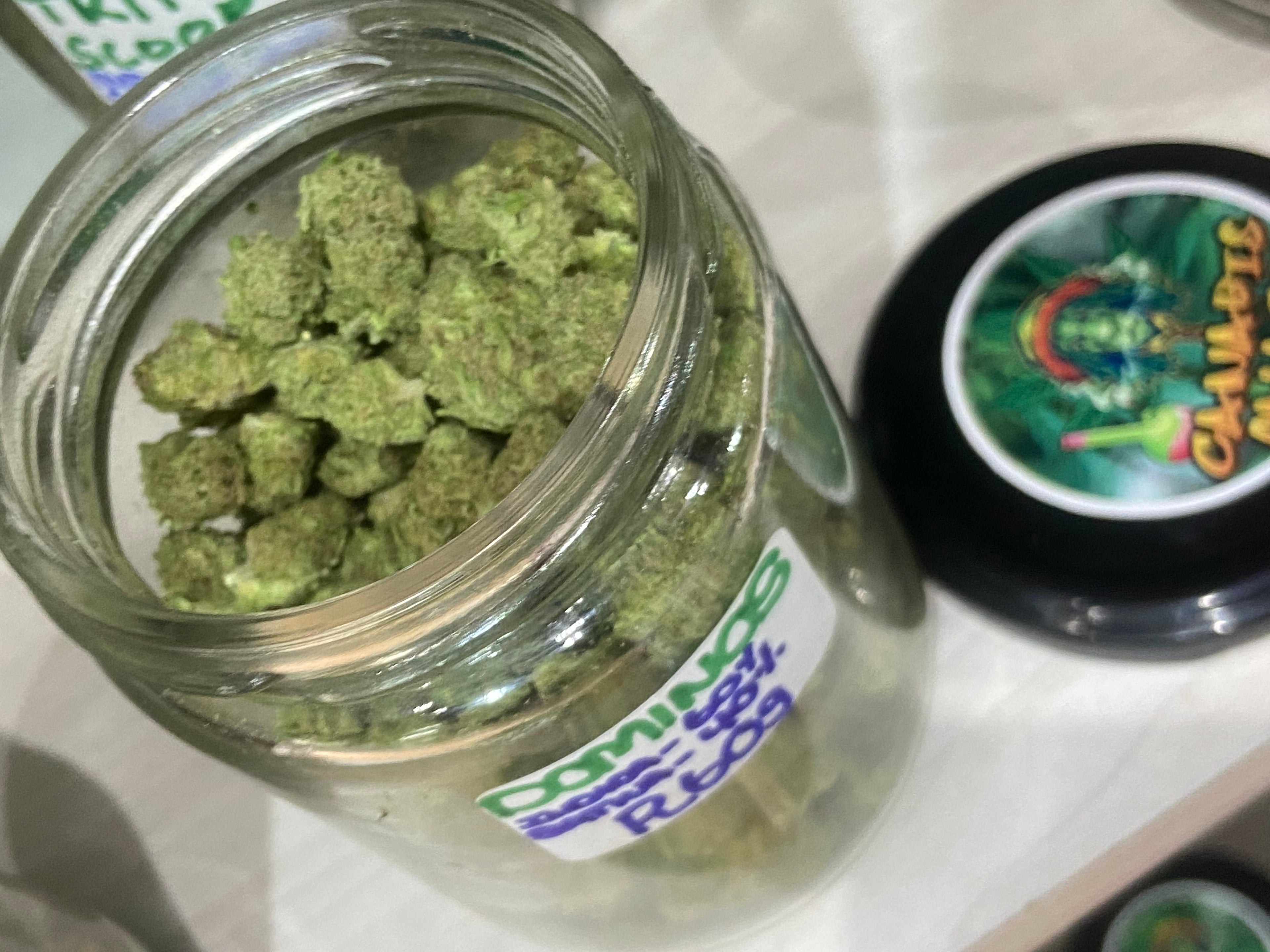 Domino’s strain
