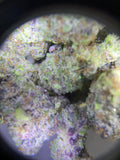 2g Blackberry (INDOOR GRADE)
