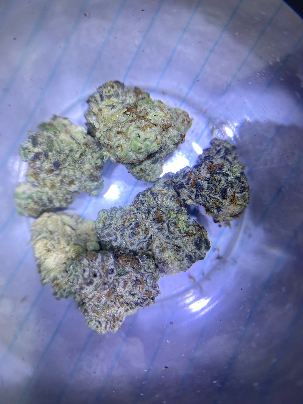 2g Cereal Milkshake                             Exotic strain