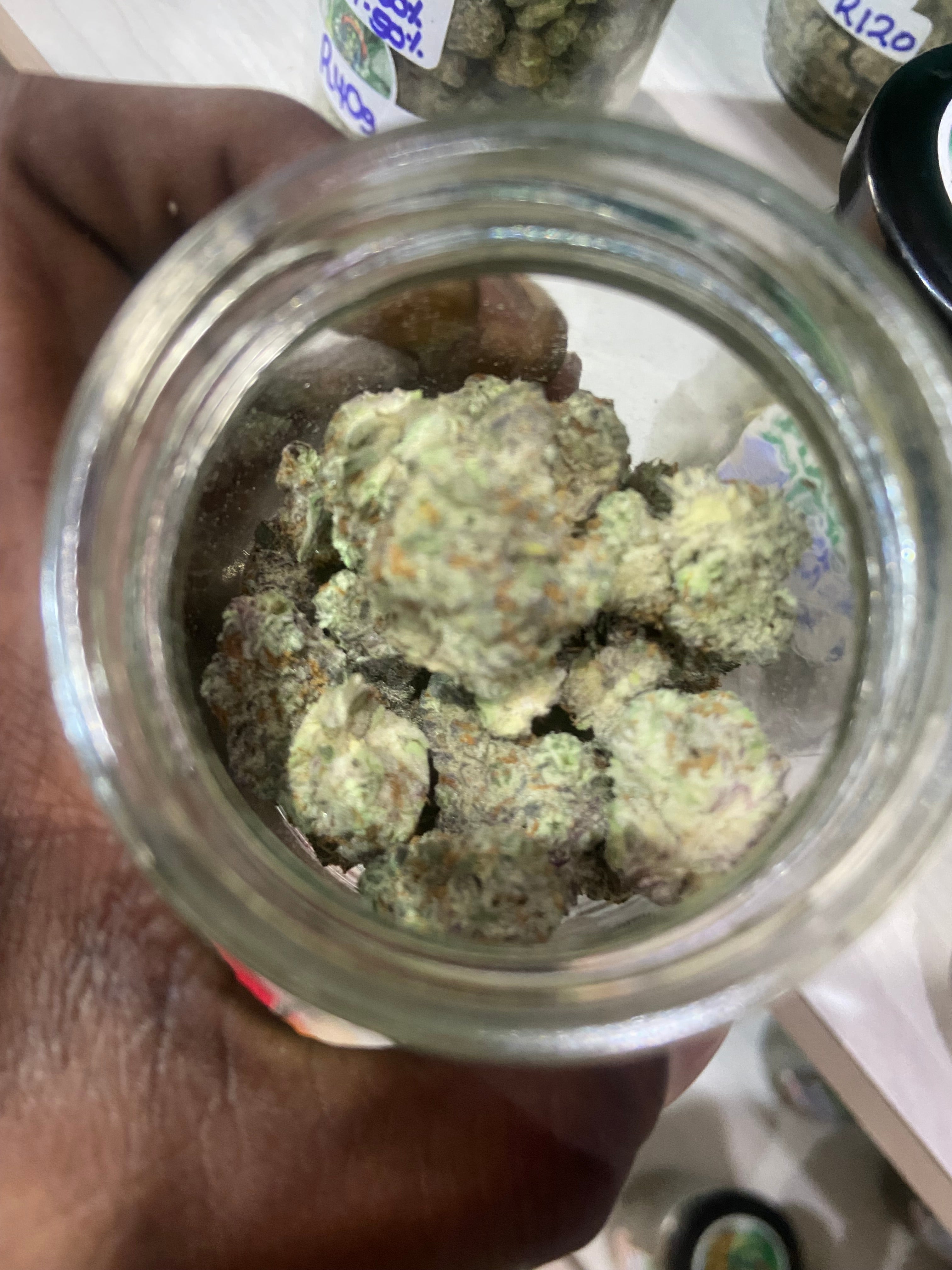 Oreoz strain