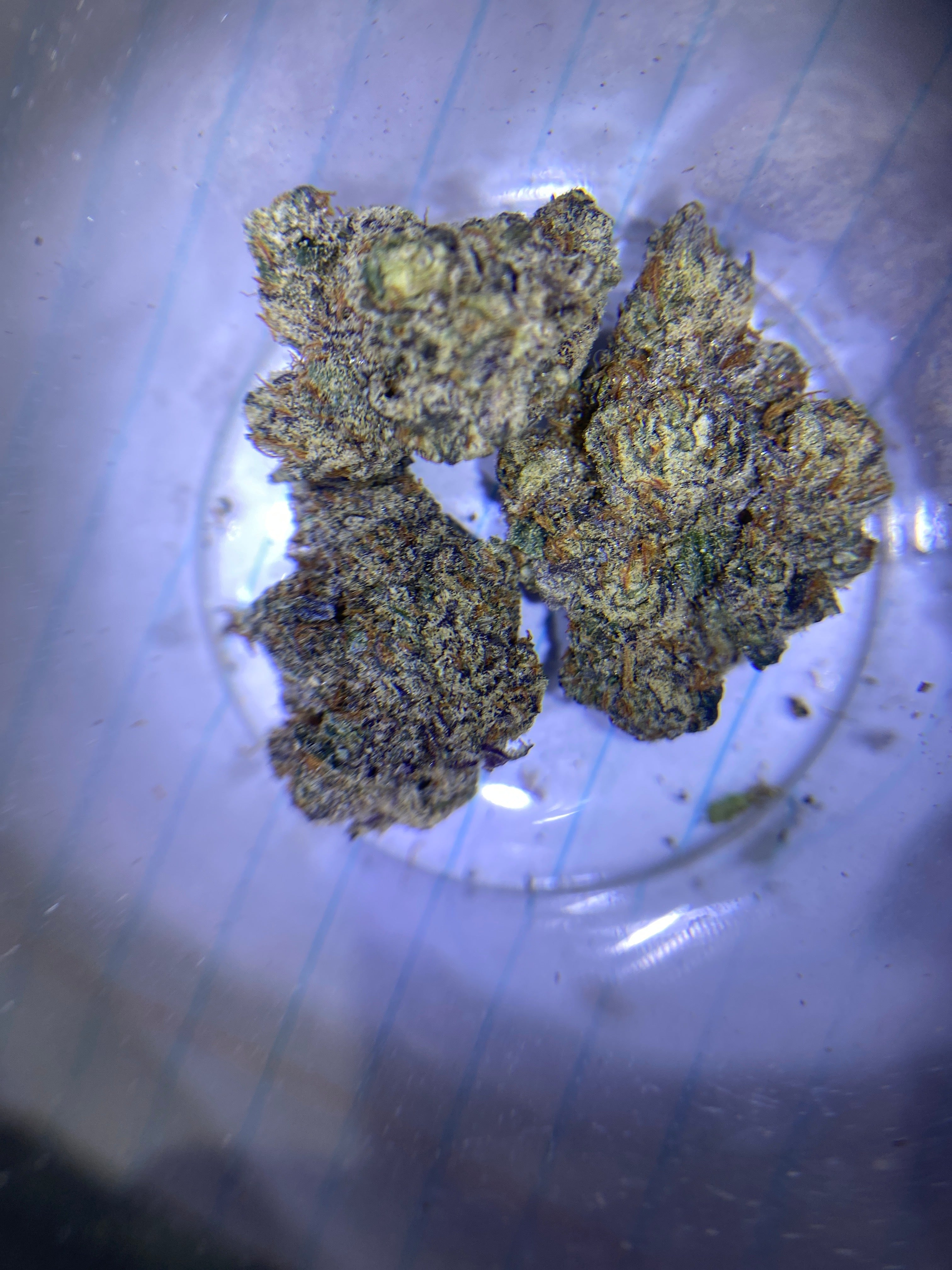 2g lemon cherry gelato                        Exotic Grade