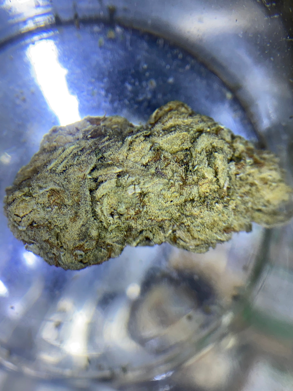 2g Cream slice (INDOOR GRADE)