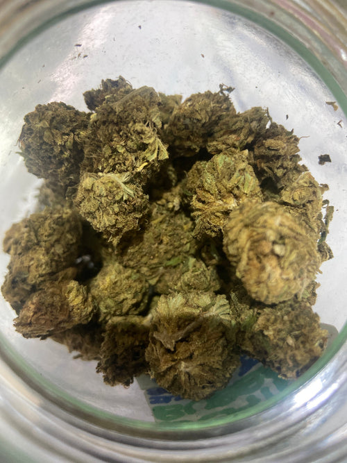6g sour og cheese (greenhouse)