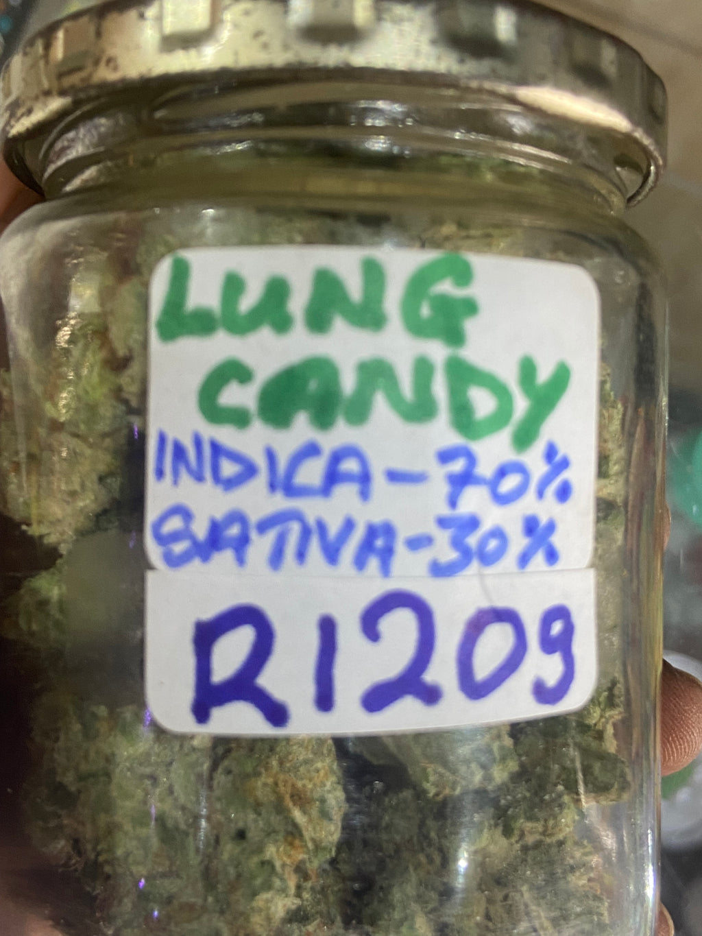 Lung candy strain