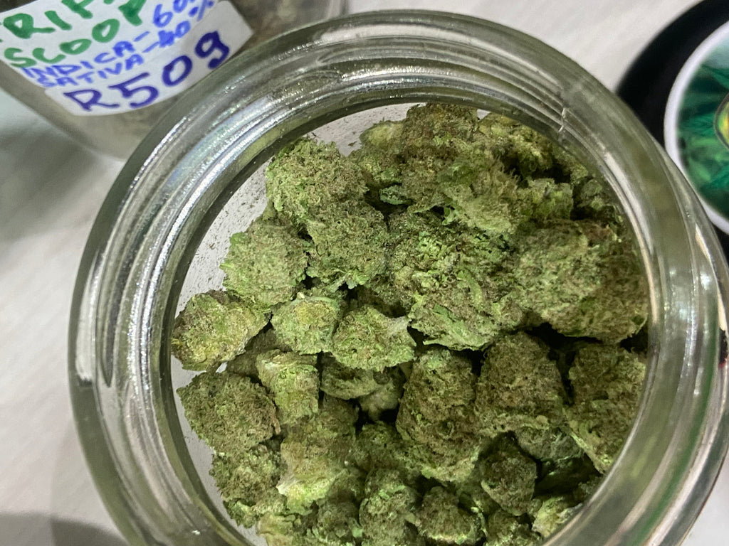Domino’s strain