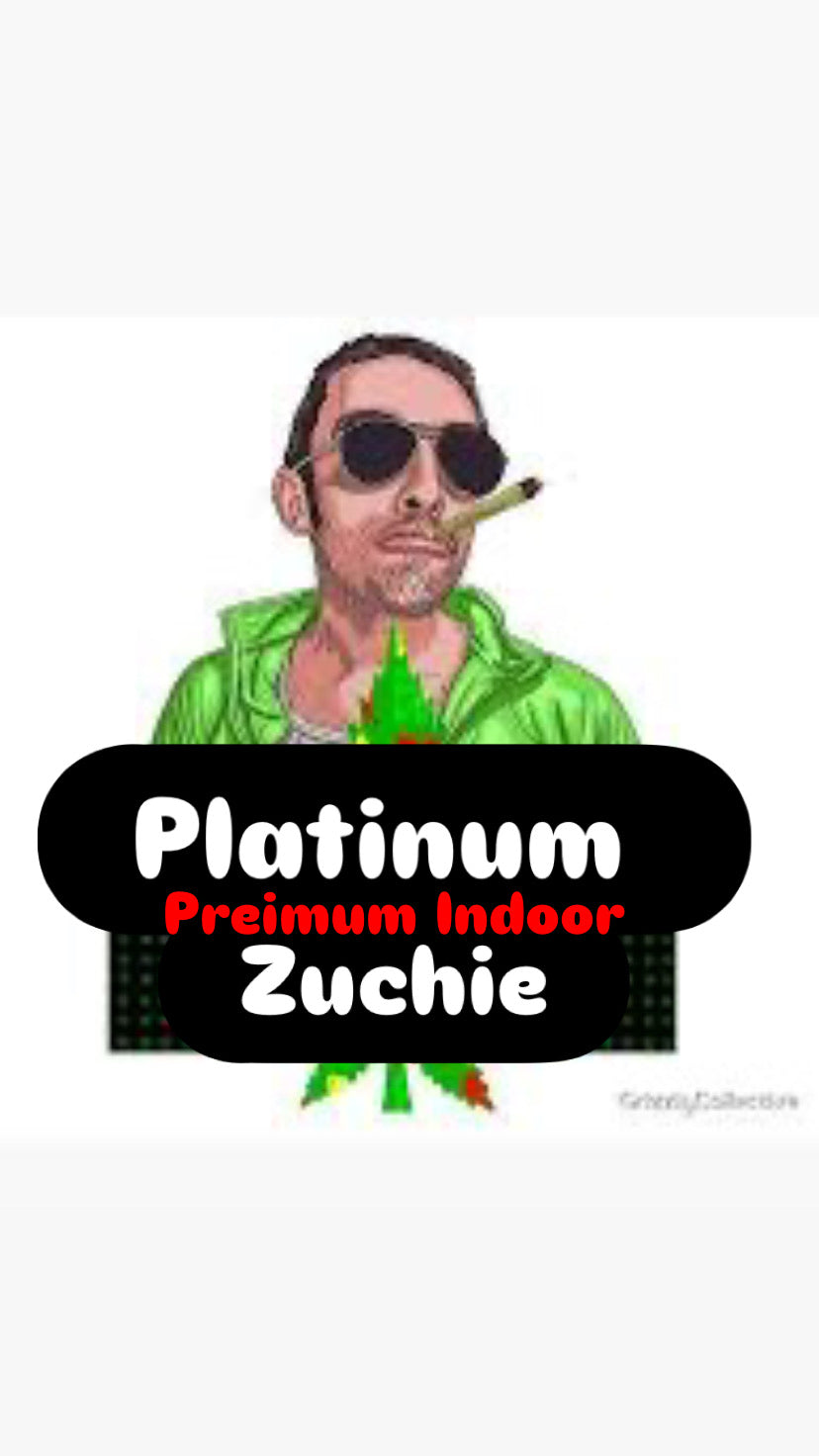 Platinum Zuchie Strain                         Cannabis Palace