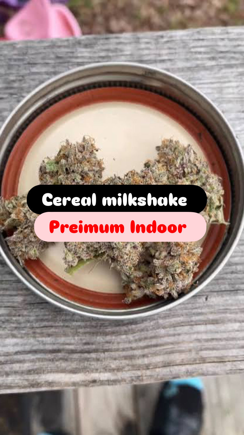 Cereal Milkshake Strain                         Cannabis Palace