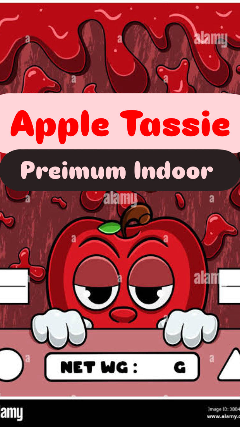 Apple Tassie Strain                               Cannabis Palace