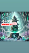 Mint Berry Gush Strain                         Cannabis Palace