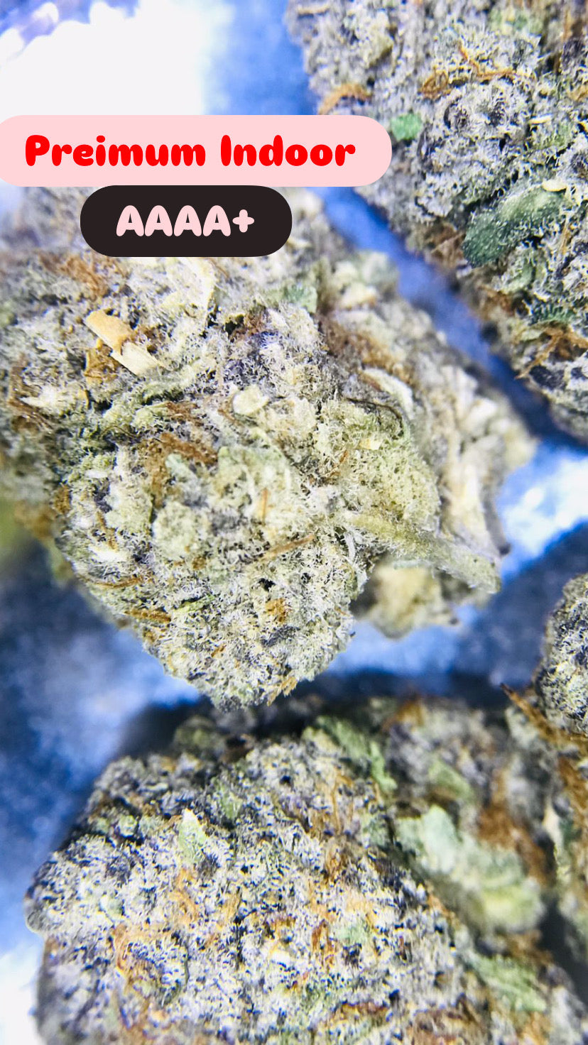 Mint Berry Gush Strain                         Cannabis Palace