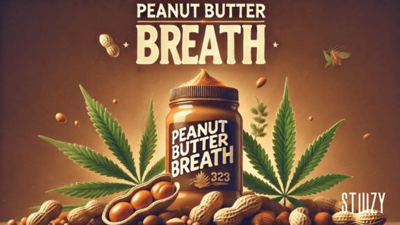 Peanut Butter Breath Strain                Cannabis Palace