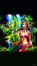 Coochie Strain                                       Cannabis Palace